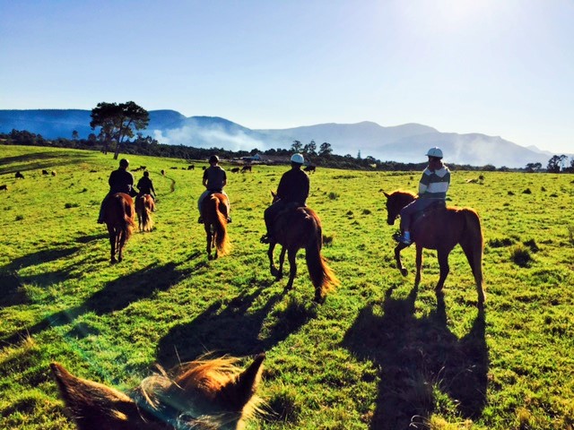 addiction activities