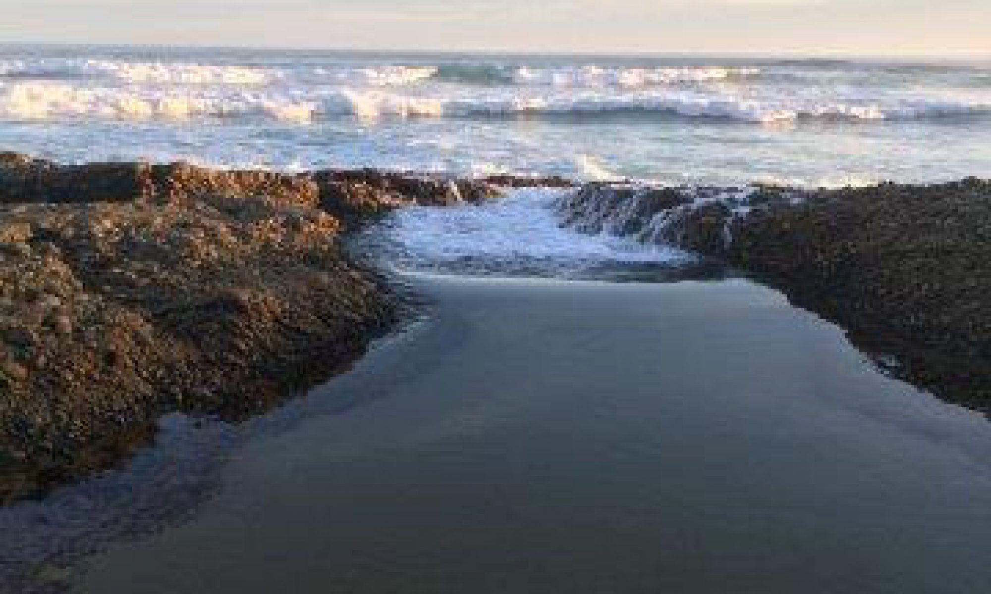 Depression and Wellness Center