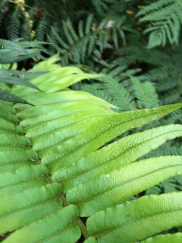 Breathing for wellness