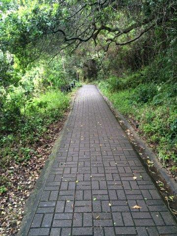 One of the most important elements of treating addictions and depression and taking personal responsibility is developing a positive self-image in sobriety is the willingness to accept responsibility for ourselves. 