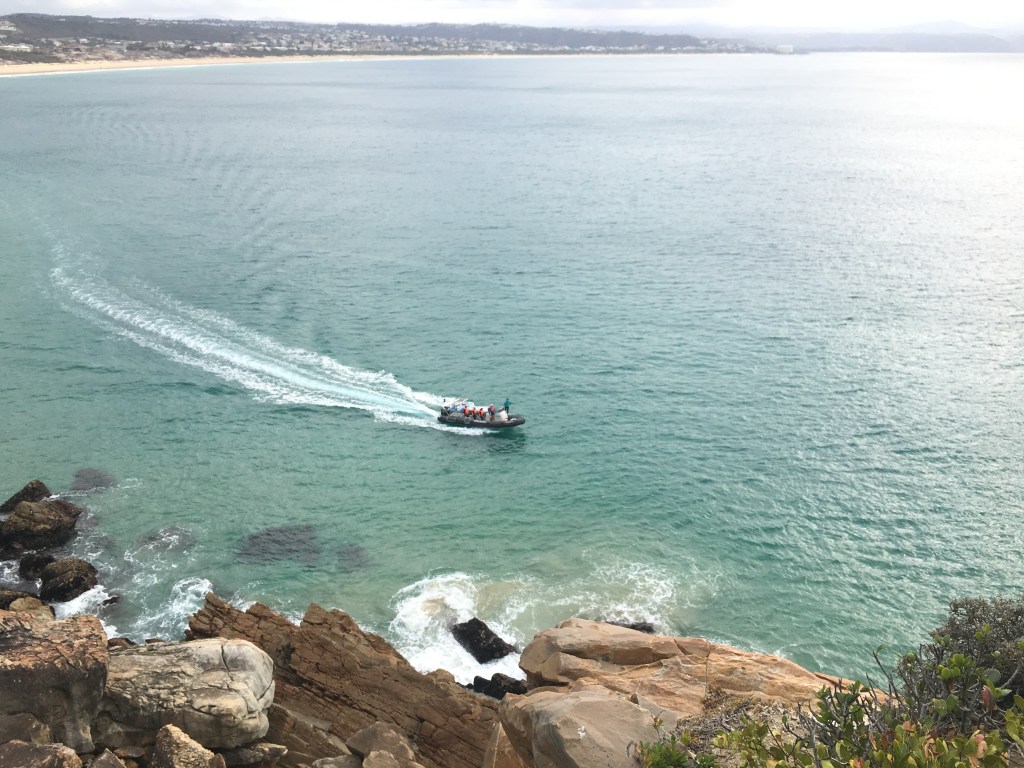 Depression and Wellness Center