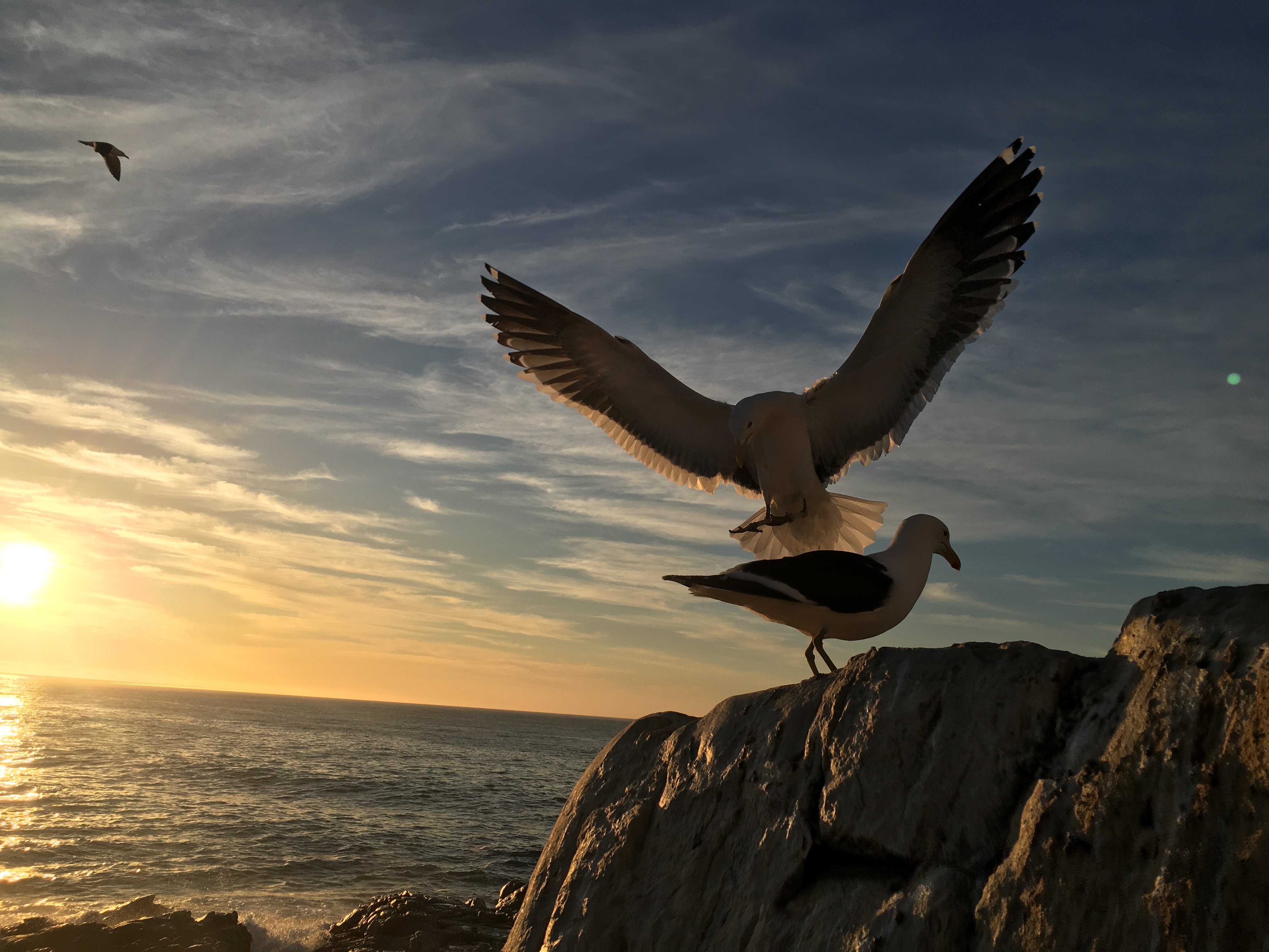 our wellness retreats