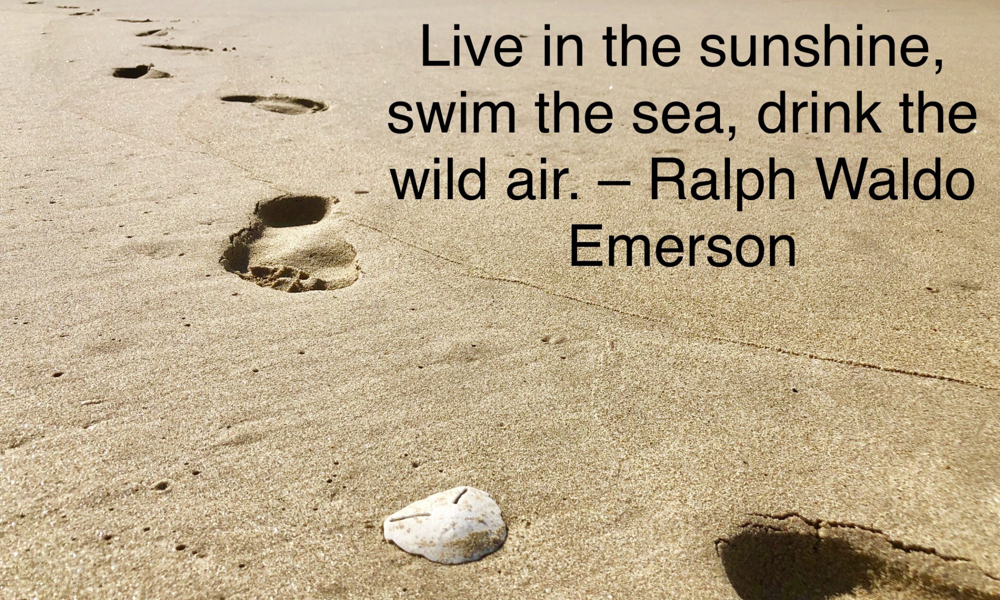 Depression and wellness treatment centre