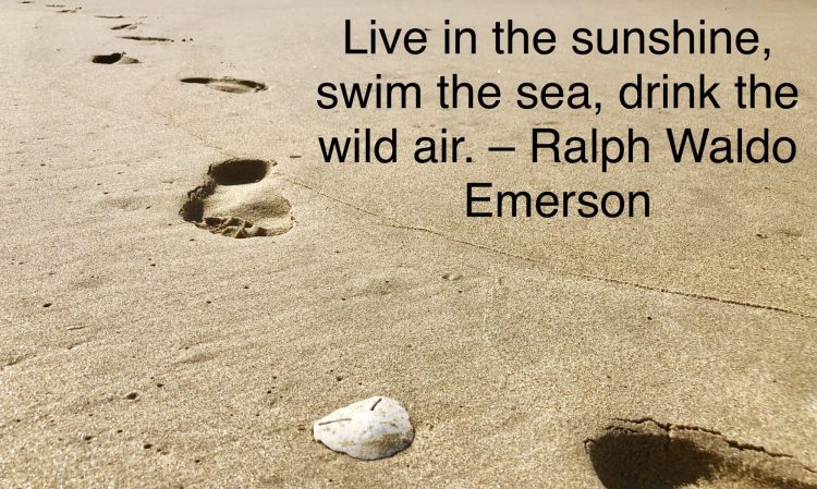 Depression and wellness treatment centre