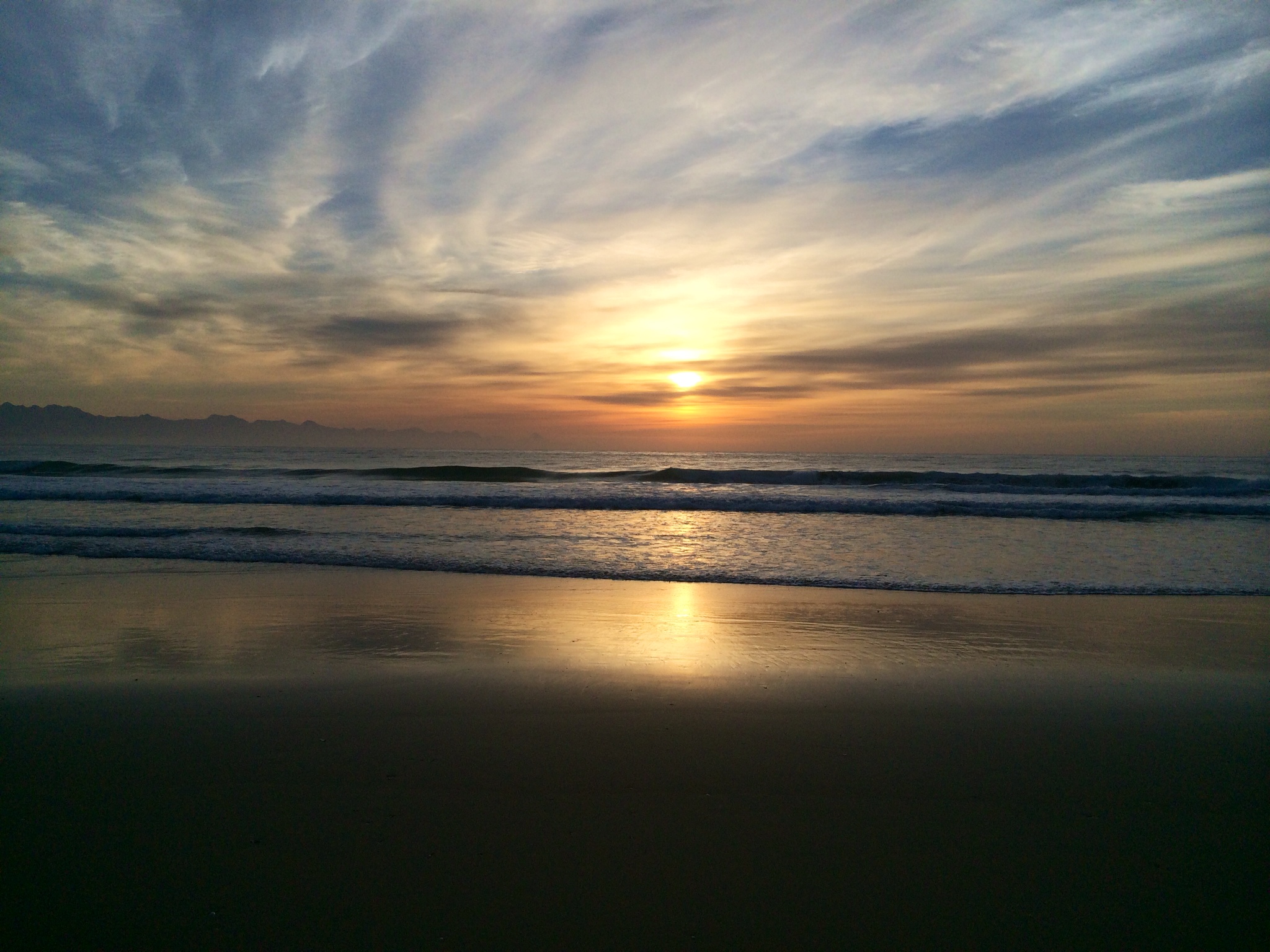 Photo of sea robberg