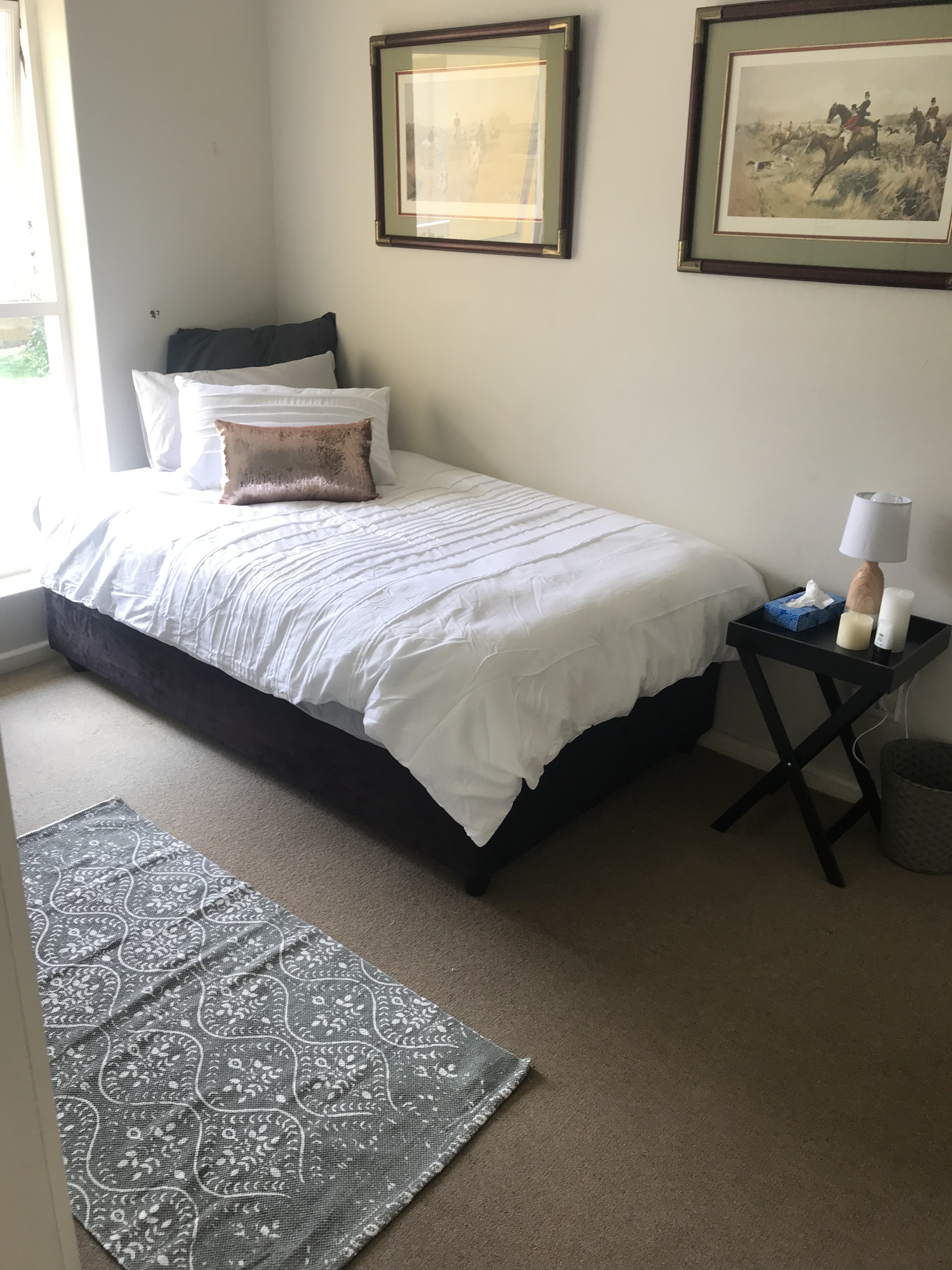 Depression and wellness Rehabilitation Center