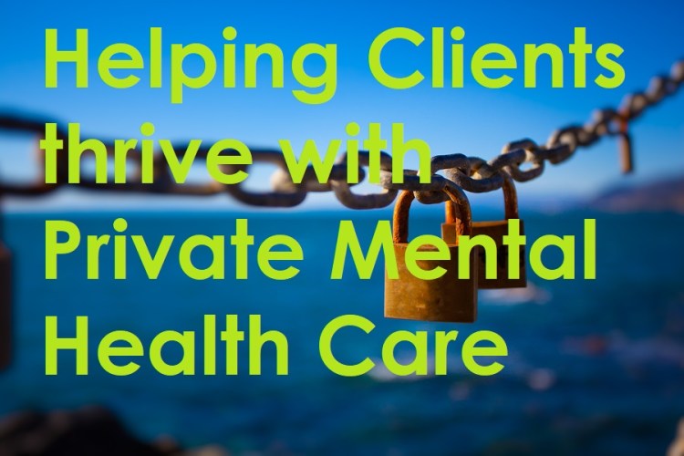 Bridging the mental health gap