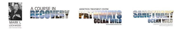 OCEAN WILD GROUP strip logo