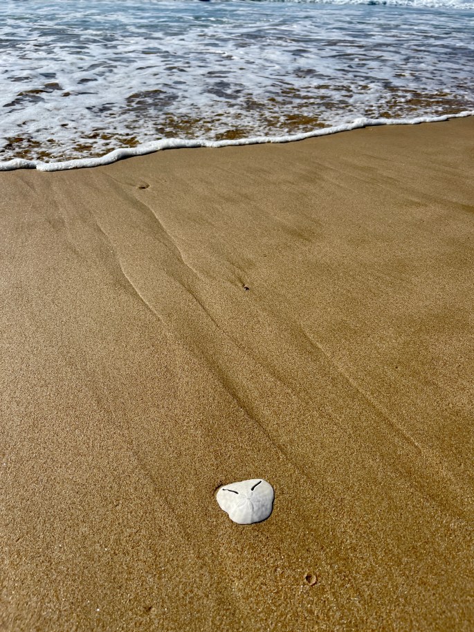 luxury wellness centres