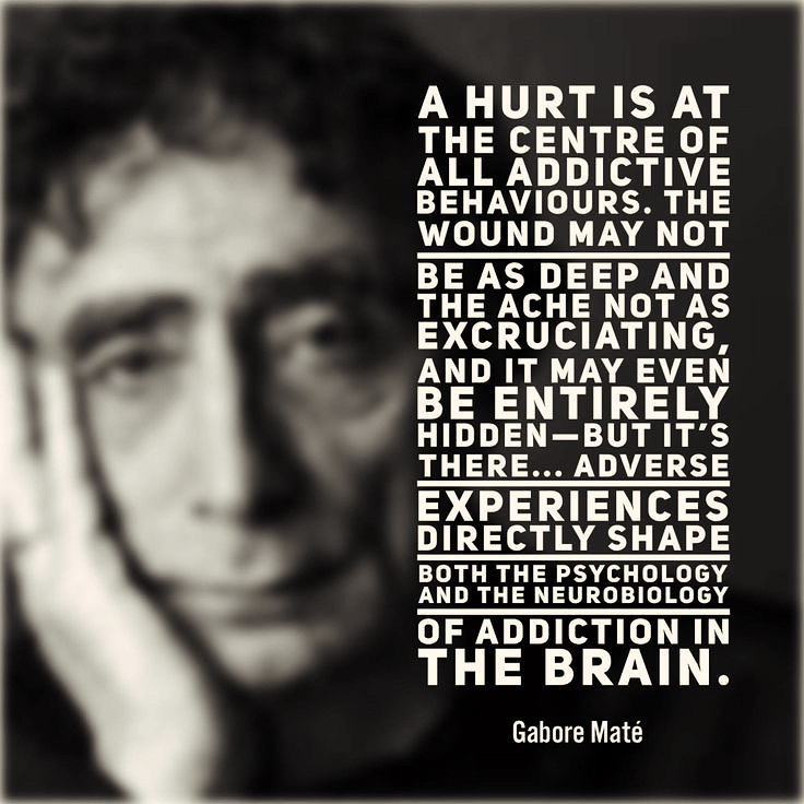 Private rehab centre in cape town alternatives