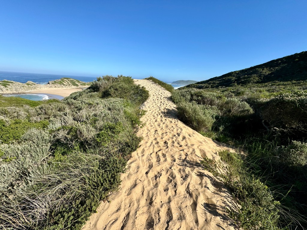 Adolescent depression treatment centre