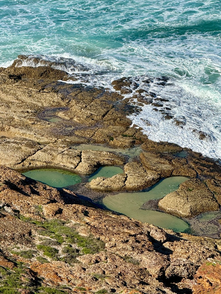 Bespoke Wellness centre in South Africa