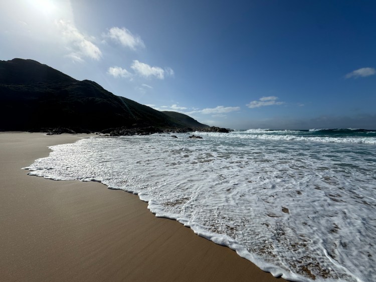 Is Cannabis Harming Your Brain?