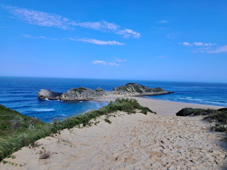 Our Healthy Family's Promise