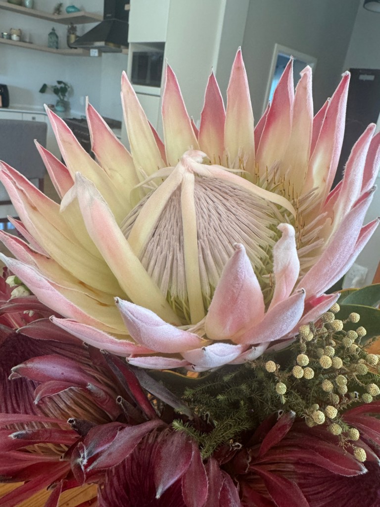 The best addiction treatment programs