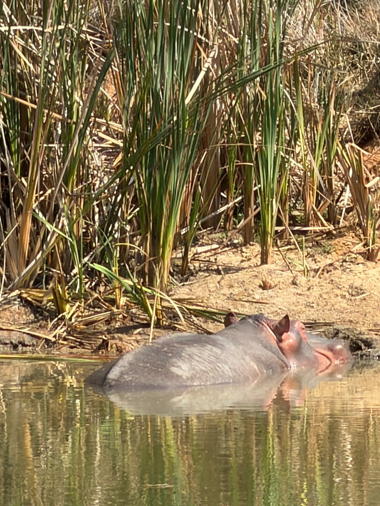 Private mental health clinic