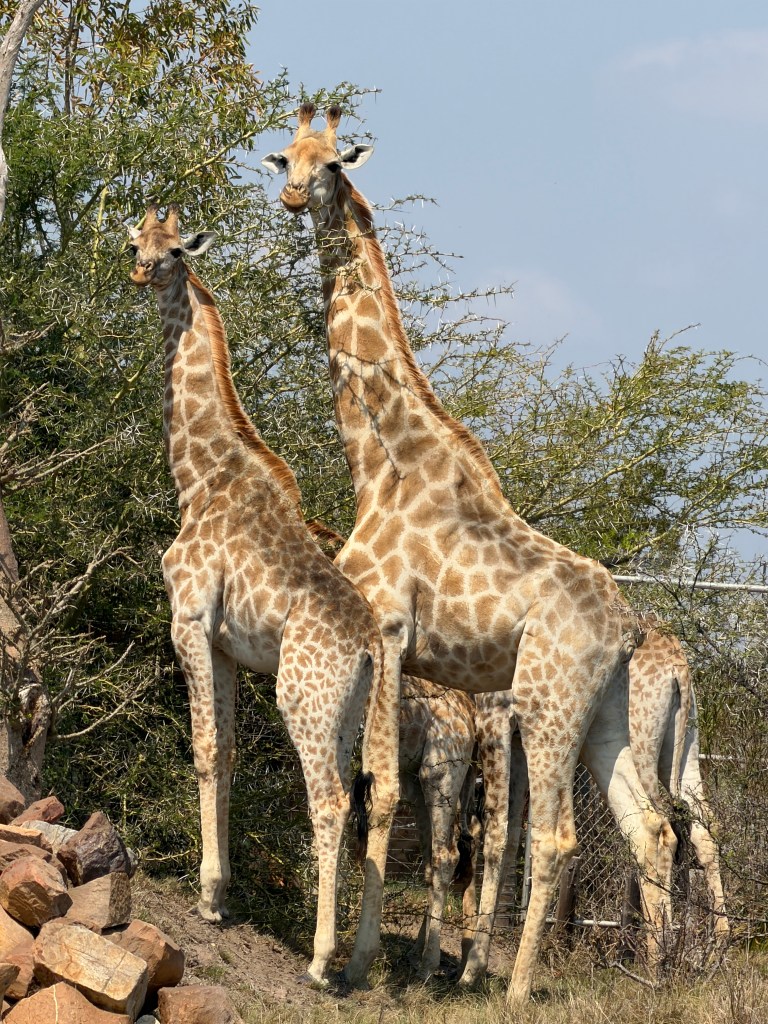 Private mental health clinic