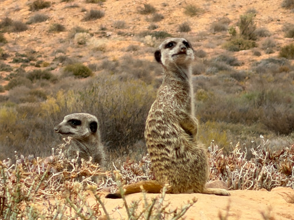 Private mental health clinic
