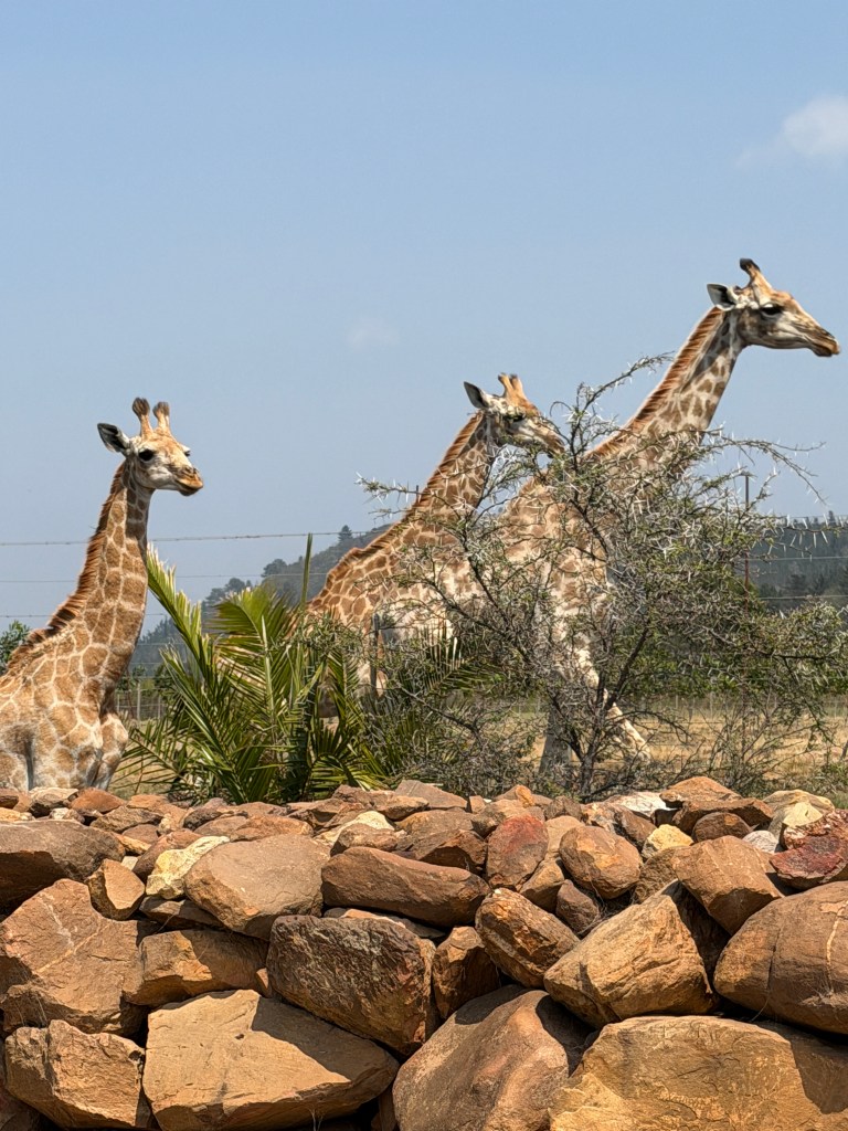 Personalized Private Inpatient Treatment